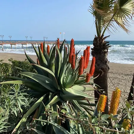Blue Lady By The Sea *