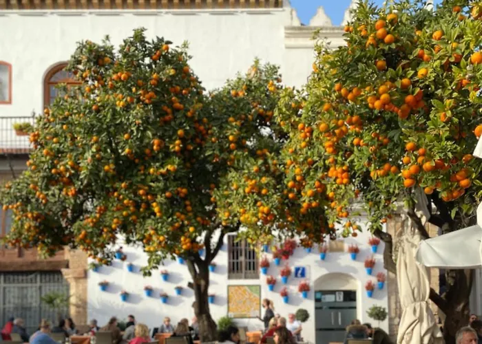 Apartment Blue Lady By The Sea