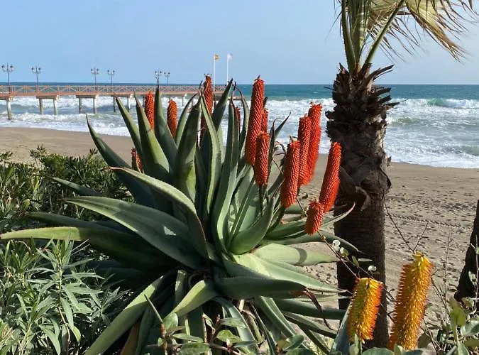 Blue Lady By The Sea *